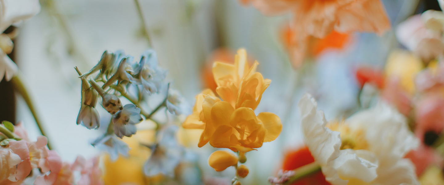 wp12141915-spring-1920×800-wallpapers