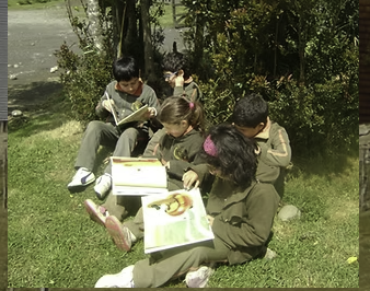 imagenbanner