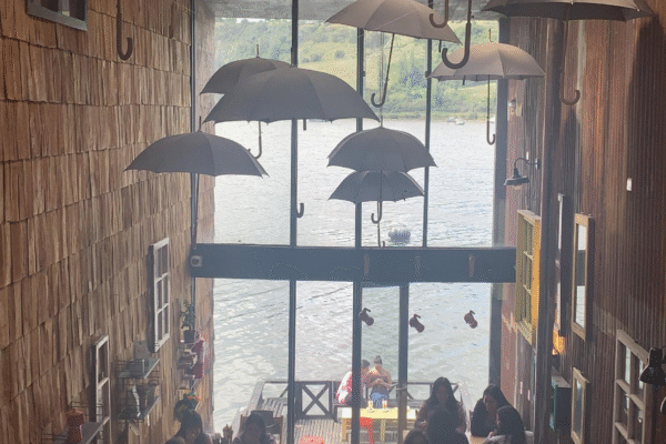 Celebrando este cierre de año en Café Bauda